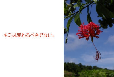 離婚手続きにつきご相談下さい。